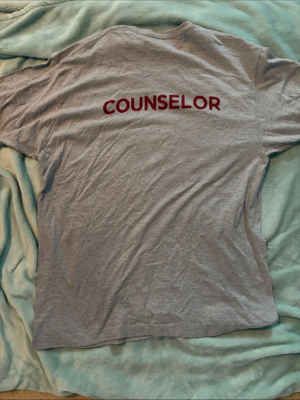 Ann Arbor T-Shirt Co Camp Crystal Lake Counselor Graphic Tee Gray XL Friday 13th - Picture 3 of 3